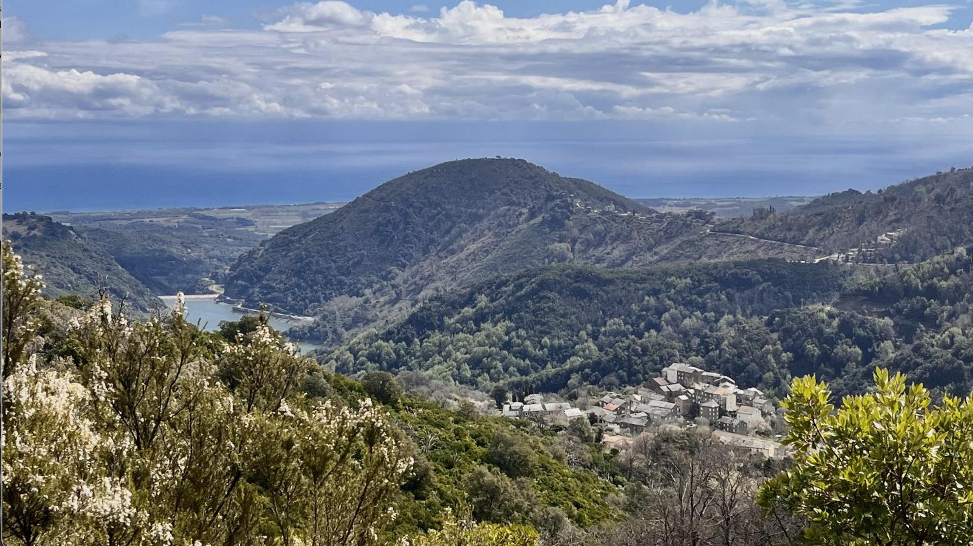Maison De Charme Corse Sauvage Pietra-di-Verde Zewnętrze zdjęcie