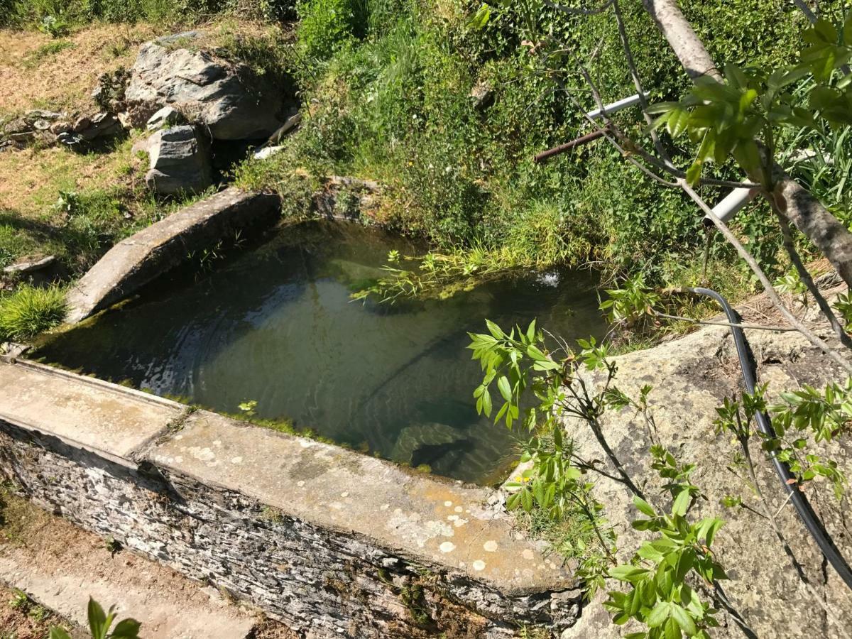 Maison De Charme Corse Sauvage Pietra-di-Verde Zewnętrze zdjęcie