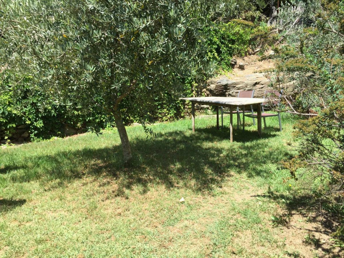 Maison De Charme Corse Sauvage Pietra-di-Verde Zewnętrze zdjęcie