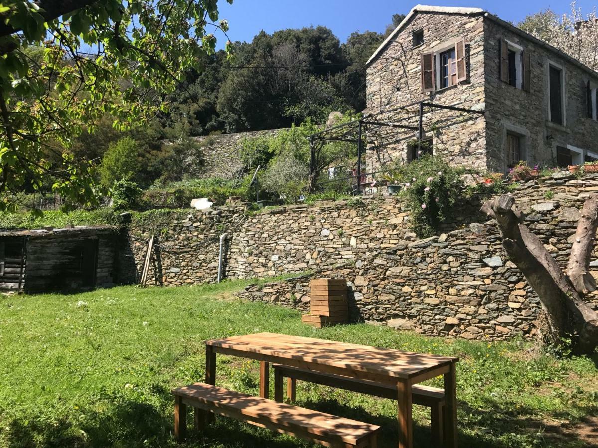Maison De Charme Corse Sauvage Pietra-di-Verde Zewnętrze zdjęcie